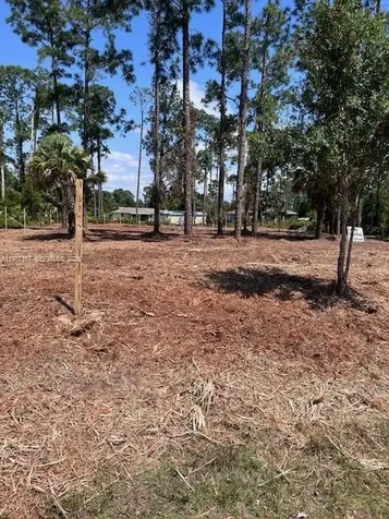 718 Columbus Avenue Lehigh Acres FL 33972
