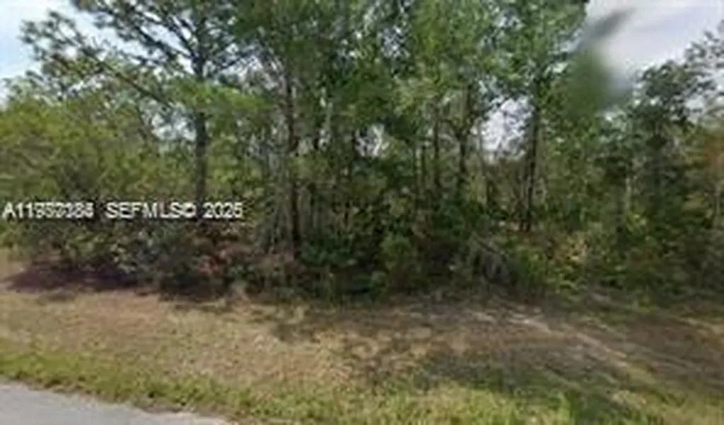 6182 N Buckland Drive Citrus Springs FL 34434