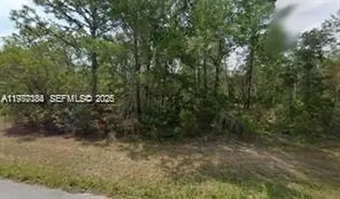 6182 N Buckland Drive Citrus Springs FL 34434