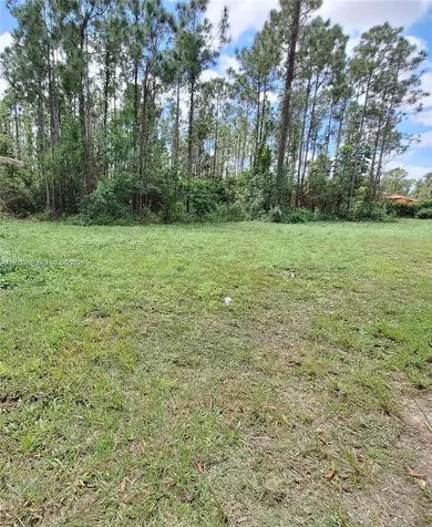 19310 SW 134th Street Homestead FL 33034