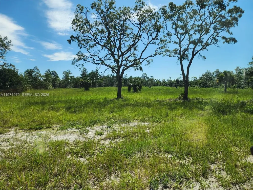 Beach Road Perry FL 32348