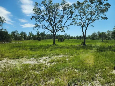 Beach Road Perry FL 32348