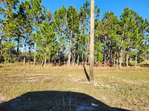 Beach Road Perry FL 32348