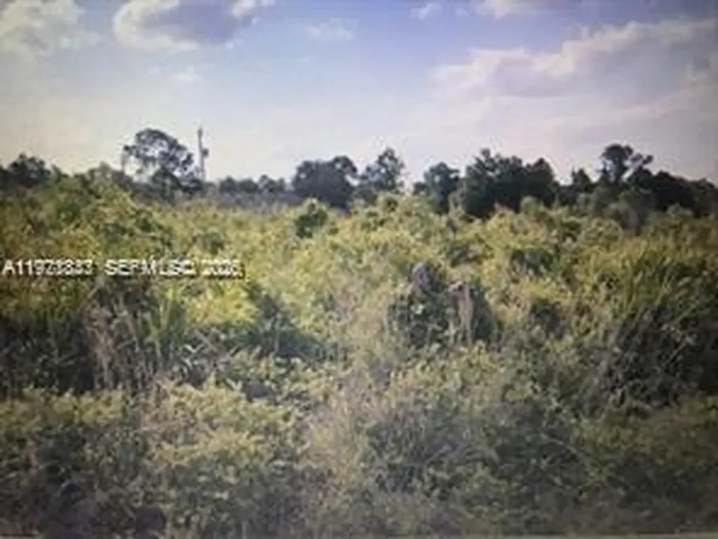 330 Hermosa Avenue Lehigh Acres FL 33974