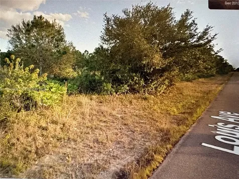1320 Louis Avenue Lehigh Acres FL 33972
