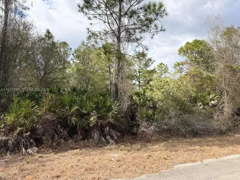 2119 Leroy Lehigh Acres FL 33920