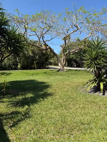 12000 NE 9th Avenue Biscayne Park FL 33161