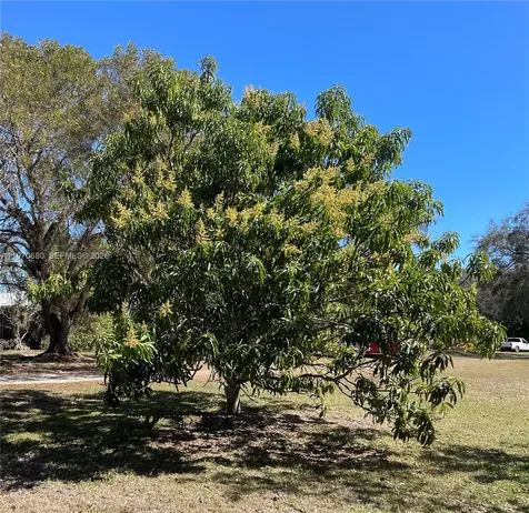23755 SW 142nd Avenue Homestead FL 33032