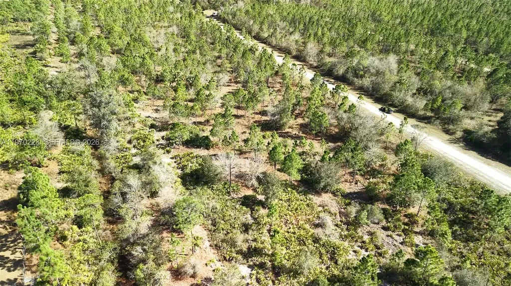 0 Portulaca Drive Other City - In The State Of Florida FL 33855