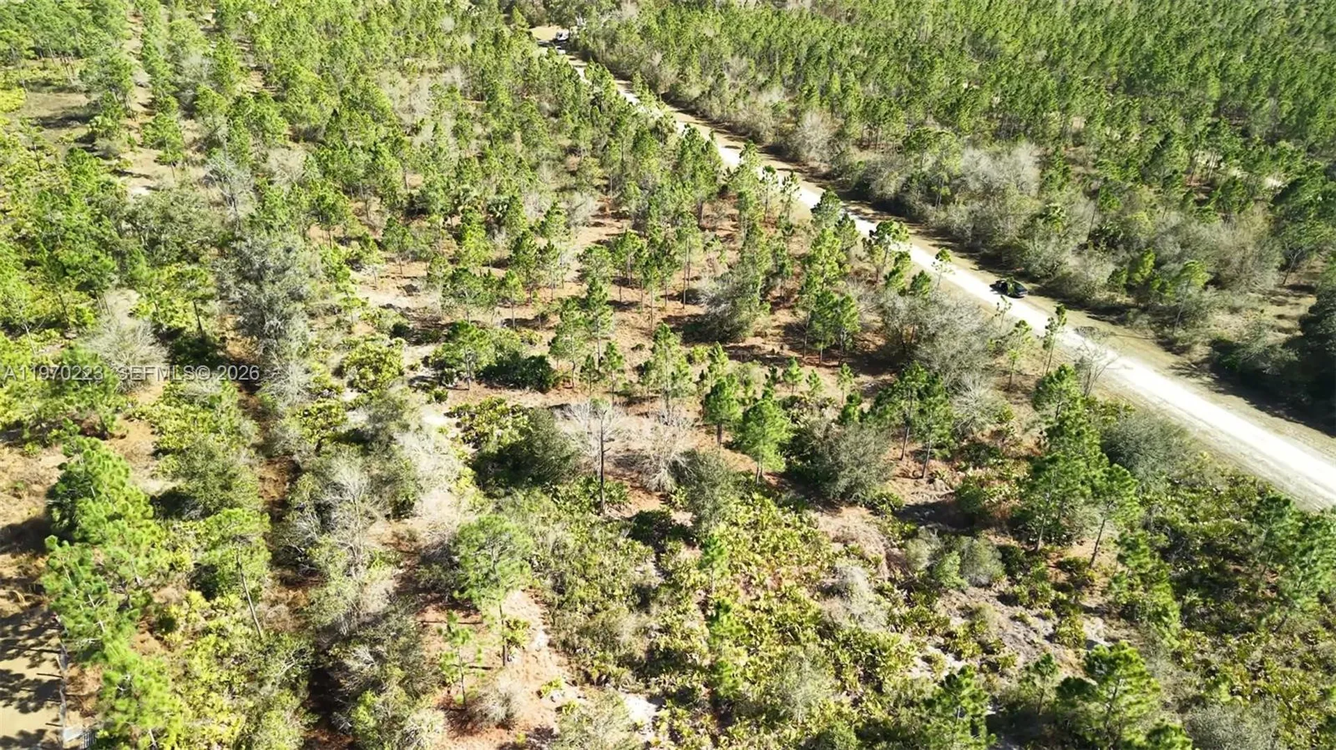 0 Portulaca Drive Other City - In The State Of Florida FL 33855