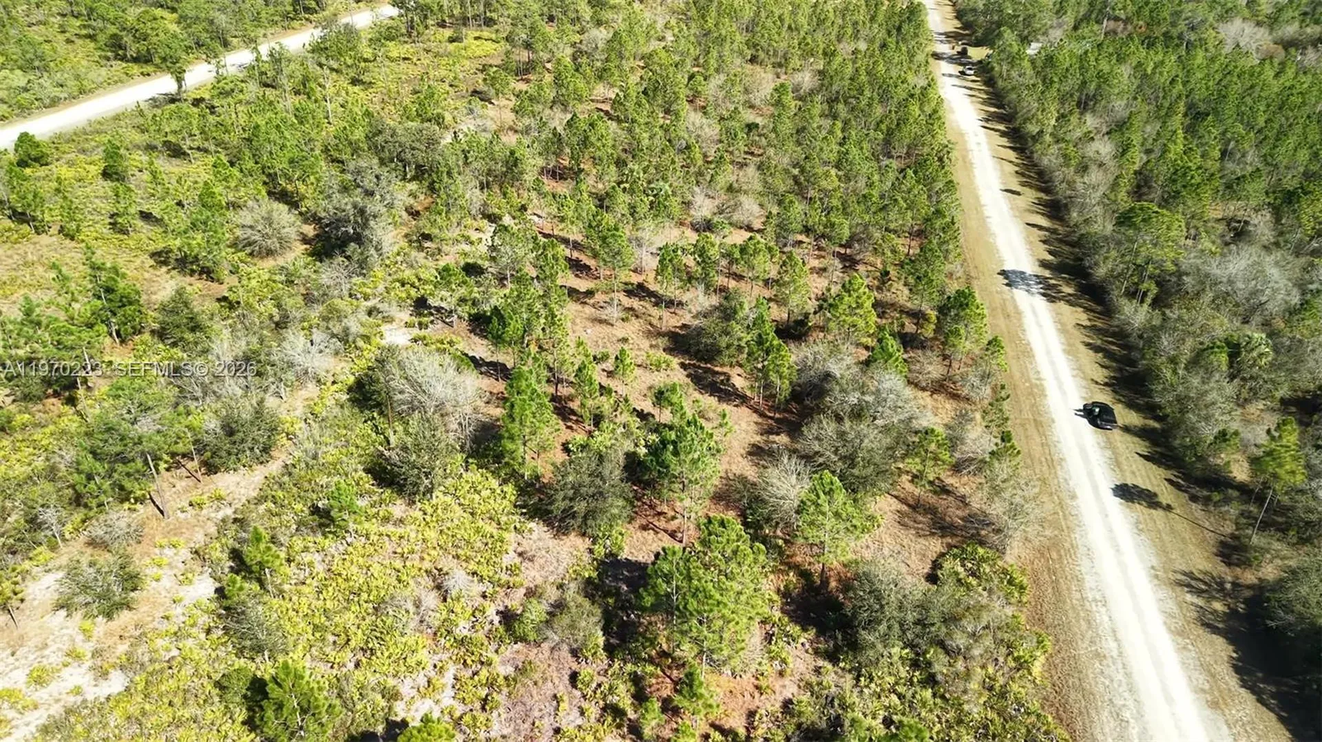 0 Portulaca Drive Other City - In The State Of Florida FL 33855