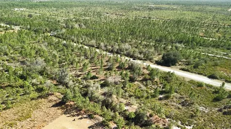 0 Portulaca Drive Other City - In The State Of Florida FL 33855