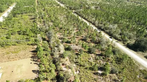 0 Portulaca Drive Other City - In The State Of Florida FL 33855