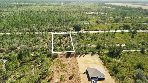 0 Portulaca Drive Other City - In The State Of Florida FL 33855