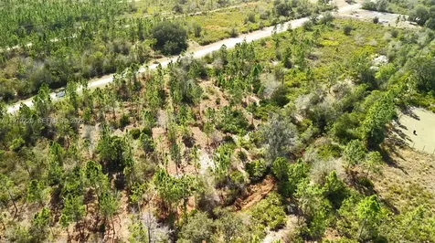 0 Portulaca Drive Other City - In The State Of Florida FL 33855