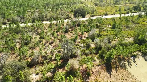 0 Portulaca Drive Other City - In The State Of Florida FL 33855