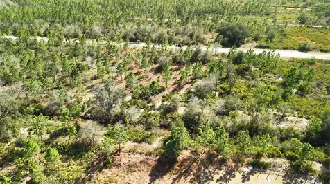 0 Portulaca Drive Other City - In The State Of Florida FL 33855
