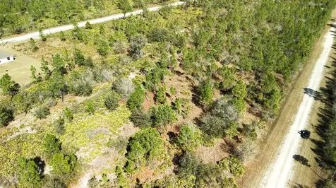 0 Portulaca Drive Other City - In The State Of Florida FL 33855