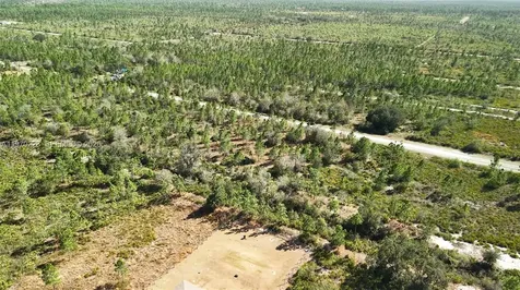 0 Portulaca Drive Other City - In The State Of Florida FL 33855