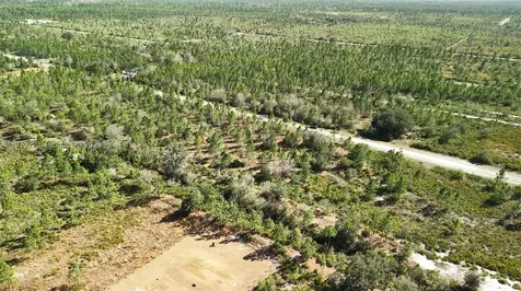 0 Portulaca Drive Other City - In The State Of Florida FL 33855