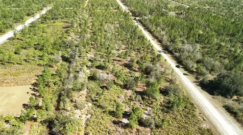 0 Portulaca Drive Other City - In The State Of Florida FL 33855