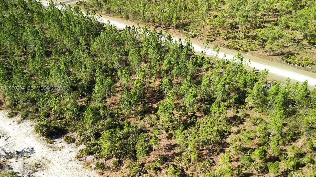 0 Portulaca Drive Other City - In The State Of Florida FL 33855