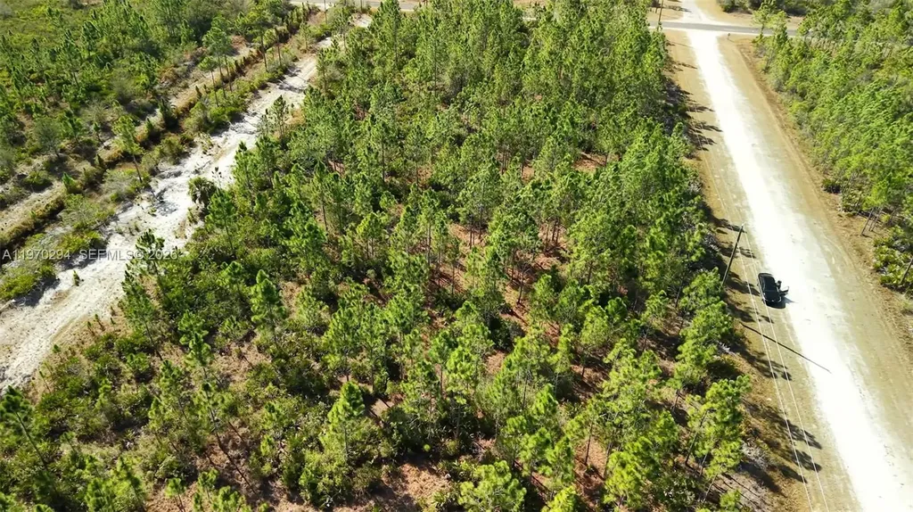 0 Portulaca Drive Other City - In The State Of Florida FL 33855