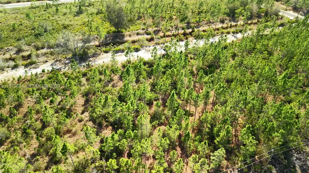 0 Portulaca Drive Other City - In The State Of Florida FL 33855