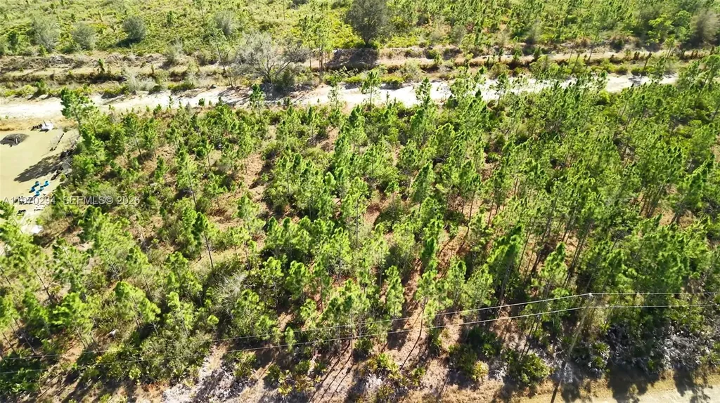 0 Portulaca Drive Other City - In The State Of Florida FL 33855