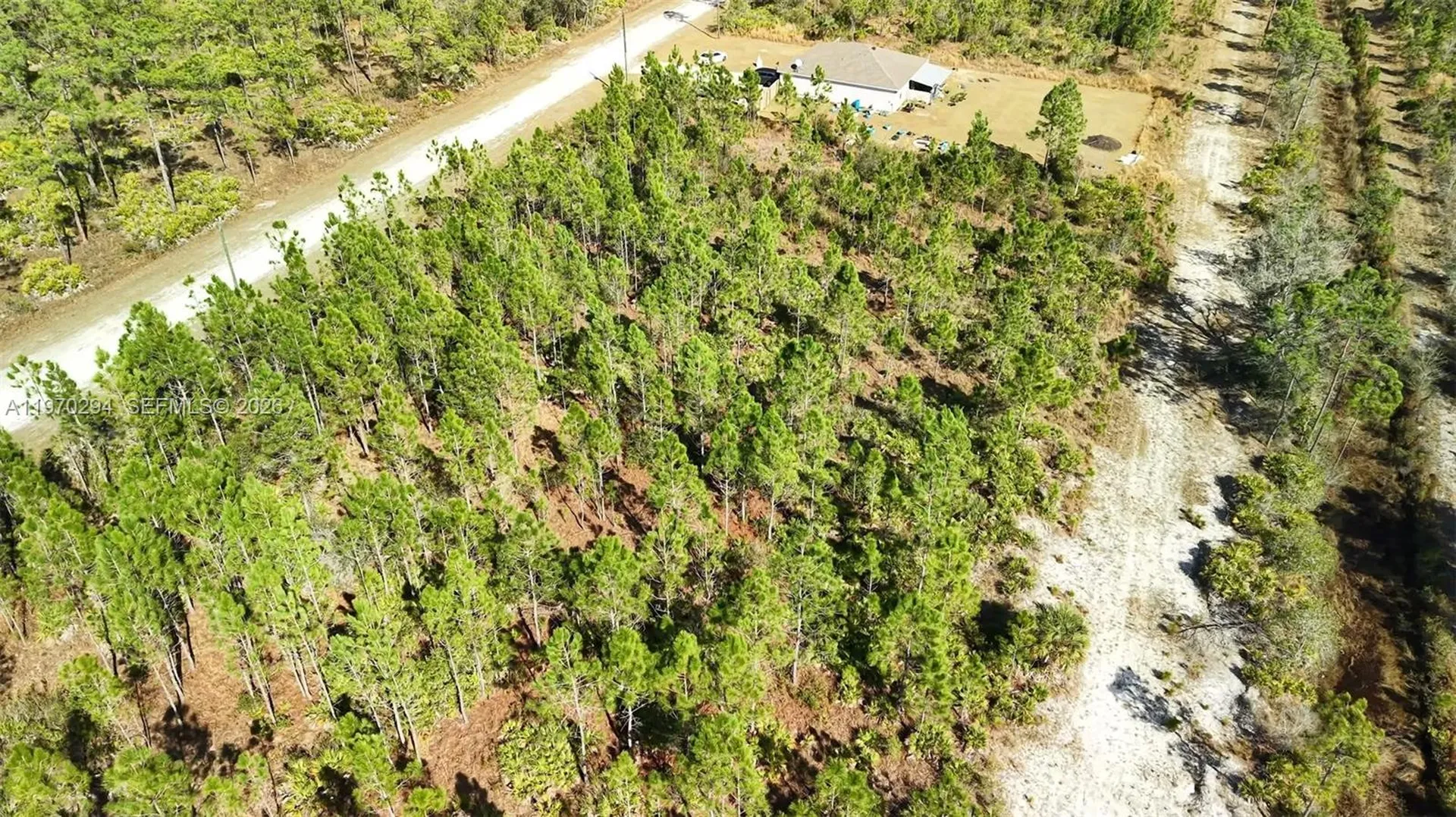 0 Portulaca Drive Other City - In The State Of Florida FL 33855