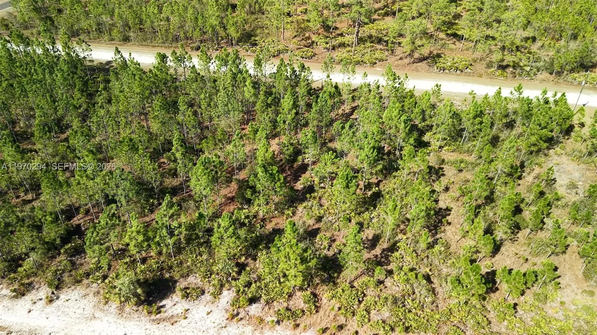 0 Portulaca Drive Other City - In The State Of Florida FL 33855