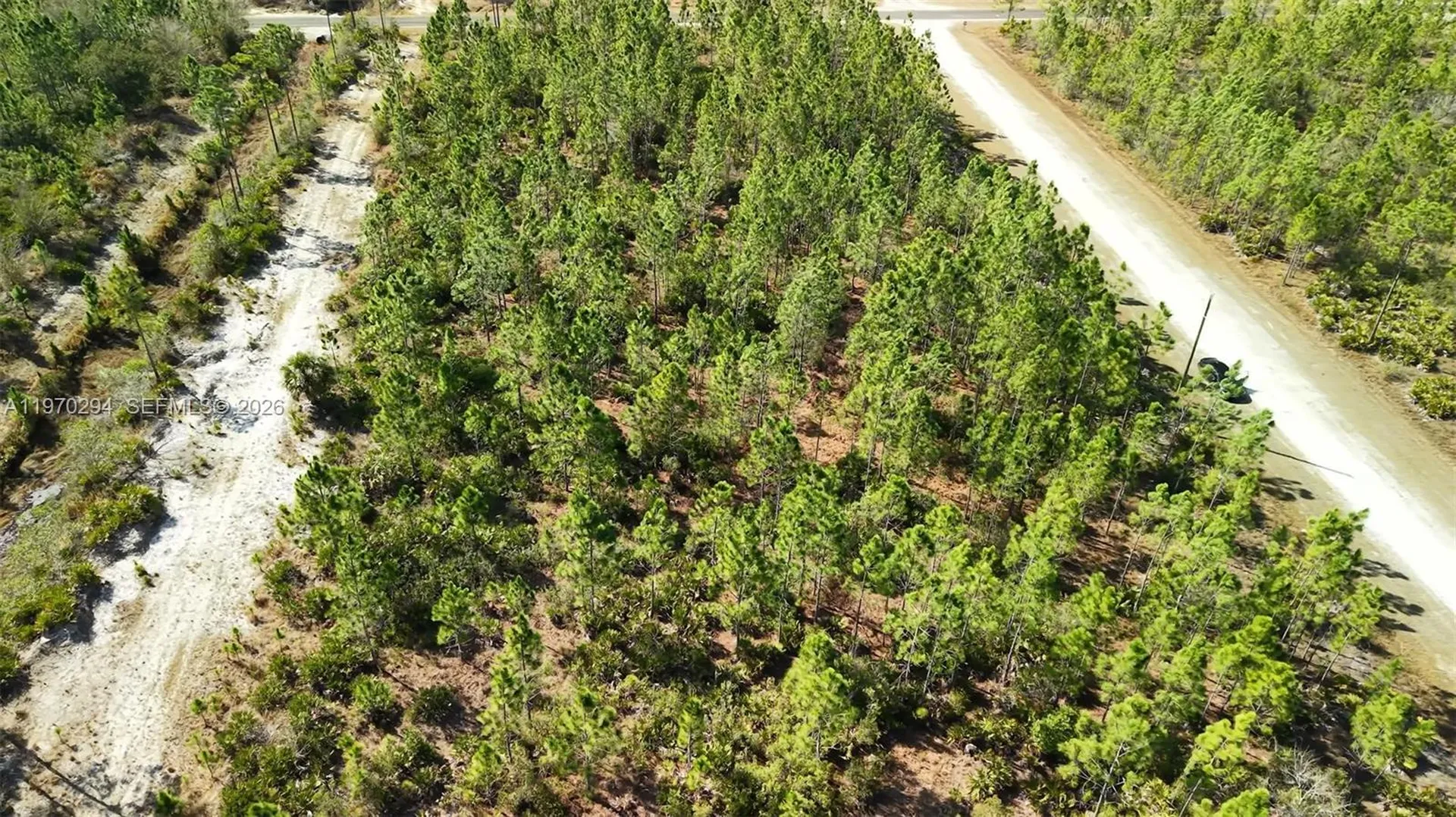 0 Portulaca Drive Other City - In The State Of Florida FL 33855