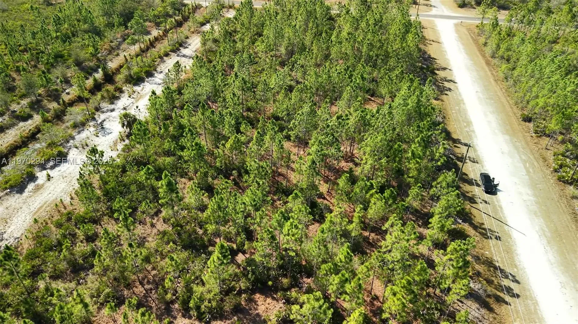 0 Portulaca Drive Other City - In The State Of Florida FL 33855