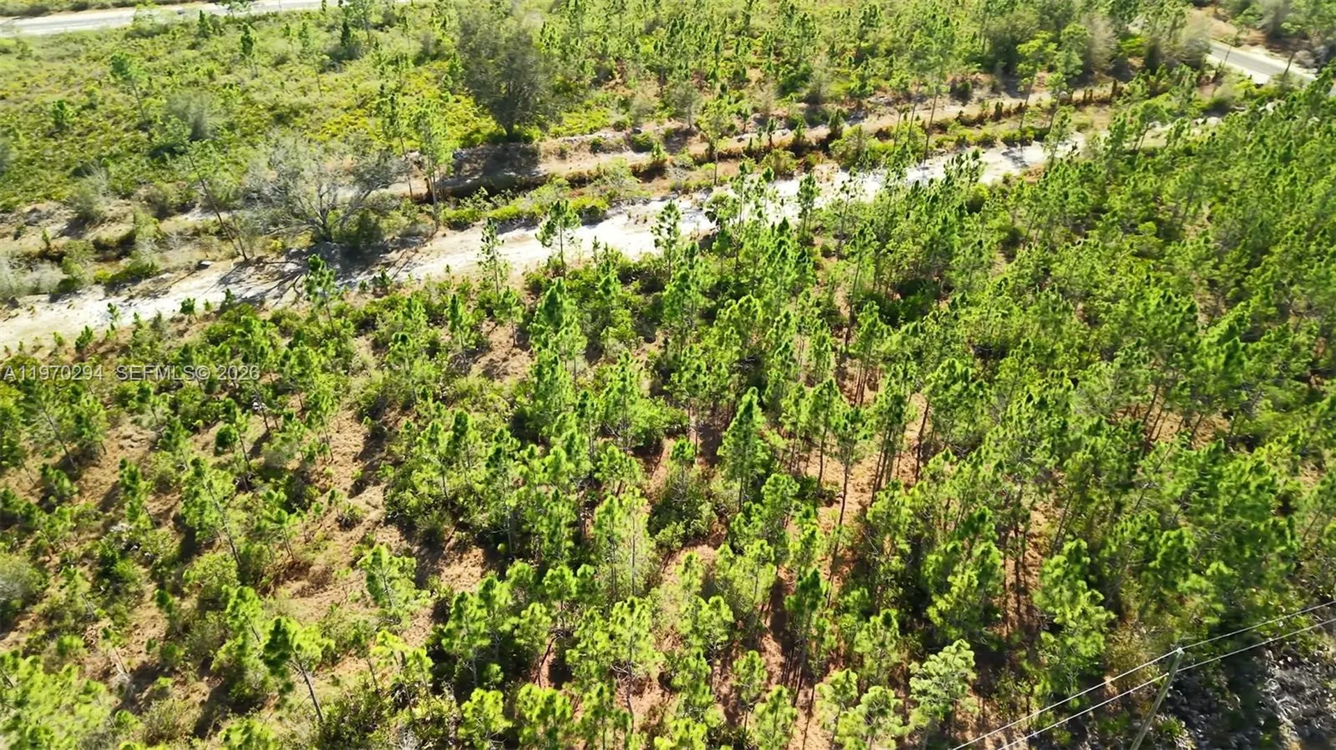 0 Portulaca Drive Other City - In The State Of Florida FL 33855