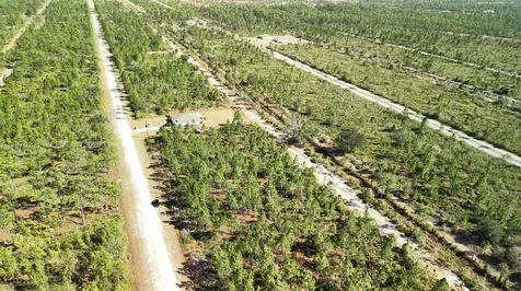 0 Portulaca Drive Other City - In The State Of Florida FL 33855