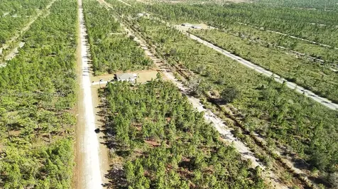 0 Portulaca Drive Other City - In The State Of Florida FL 33855
