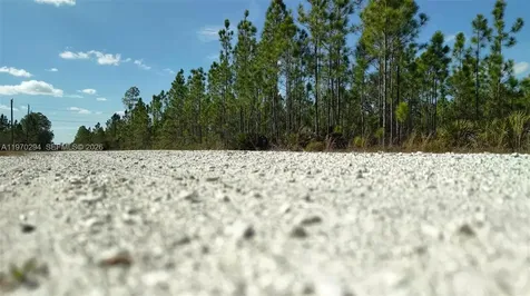 0 Portulaca Drive Other City - In The State Of Florida FL 33855