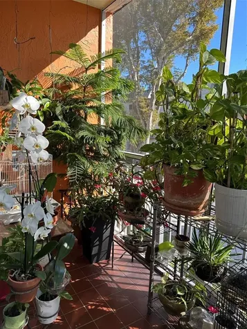 11307 SW 200th Street Miami FL 33157
