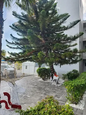 2101 Normandy Drive Miami Beach FL 33141