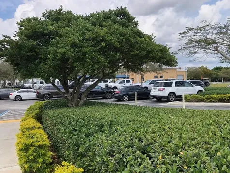 17255 SW 95th Avenue Palmetto Bay FL 33157