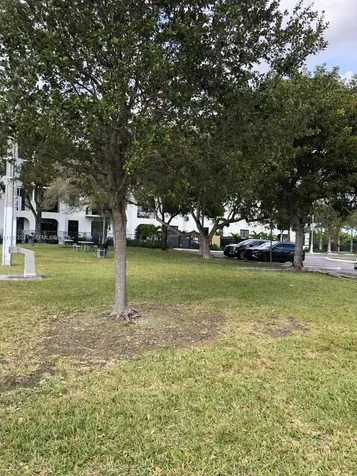 17255 SW 95th Avenue Palmetto Bay FL 33157