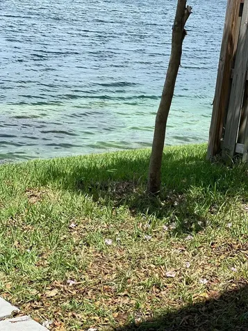20564 NE 5th Place Miami FL 33179
