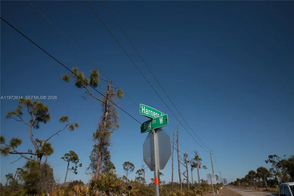 26 Harness Other City - In The State Of Florida FL 33946
