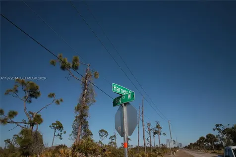26 Harness Other City - In The State Of Florida FL 33946