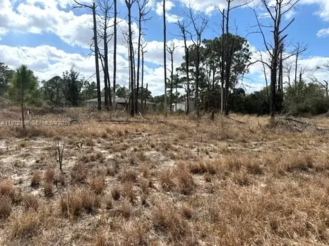 245 Moon River Avenue Sebring FL 33852
