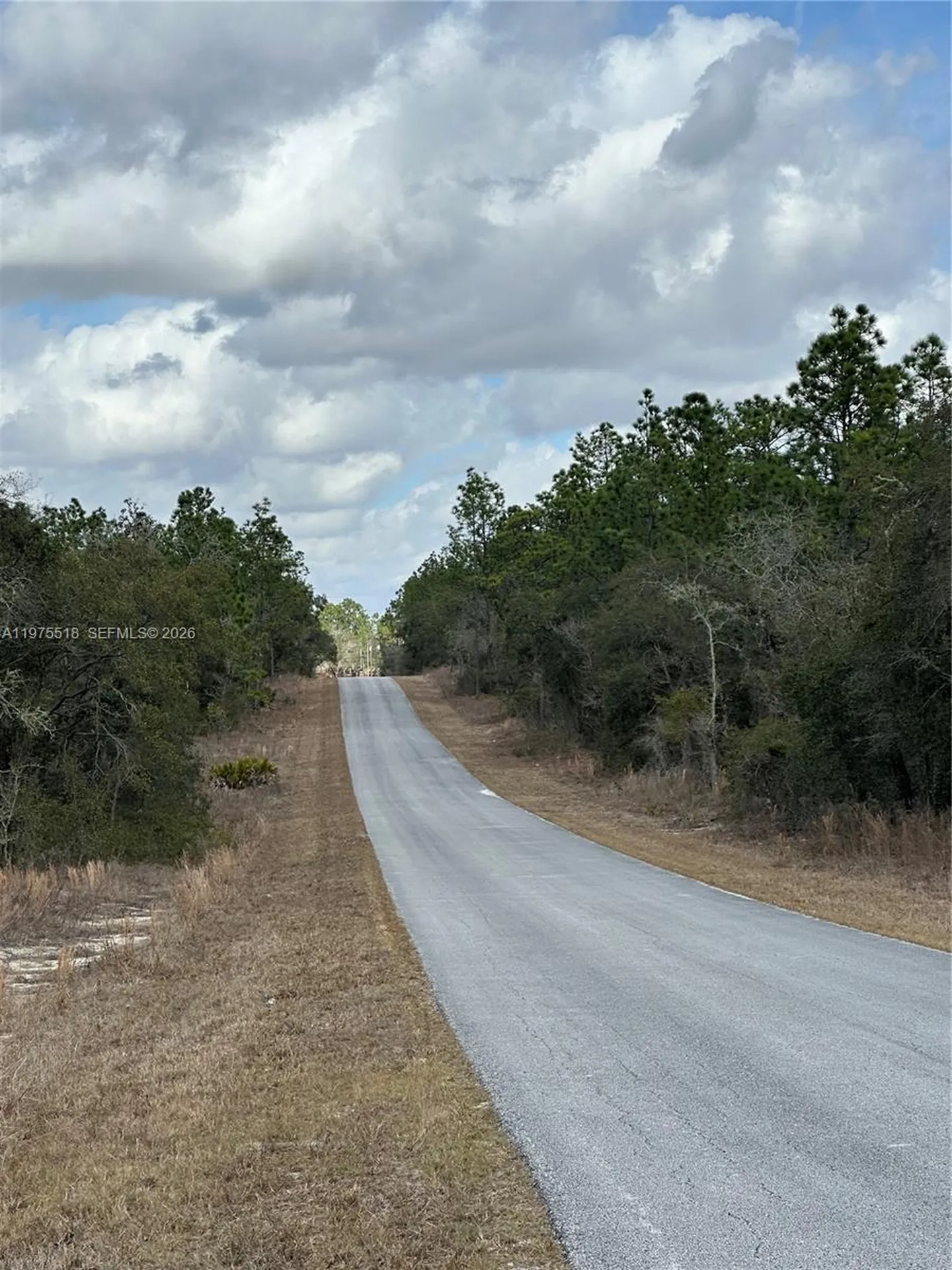 Other City - In The State Of Florida FL 34431