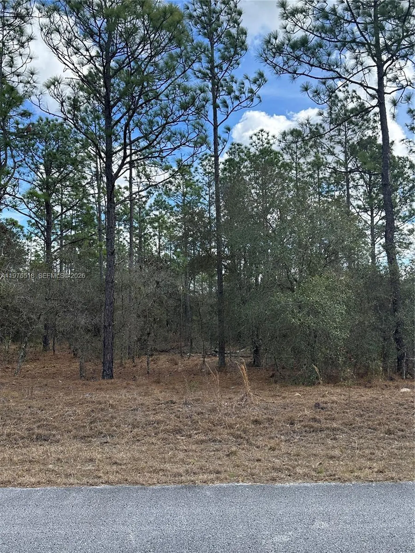 Other City - In The State Of Florida FL 34431