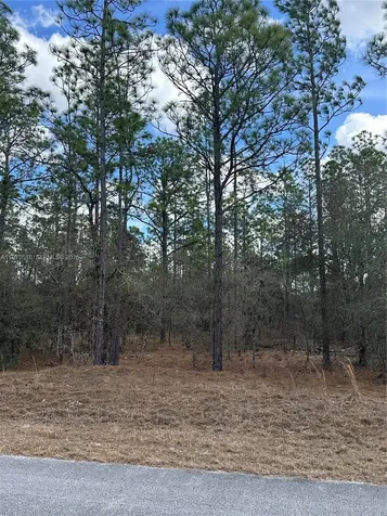 Other City - In The State Of Florida FL 34431
