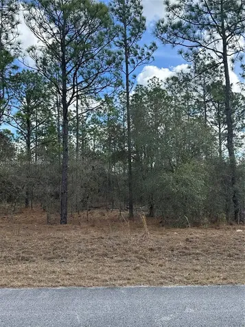 Other City - In The State Of Florida FL 34431
