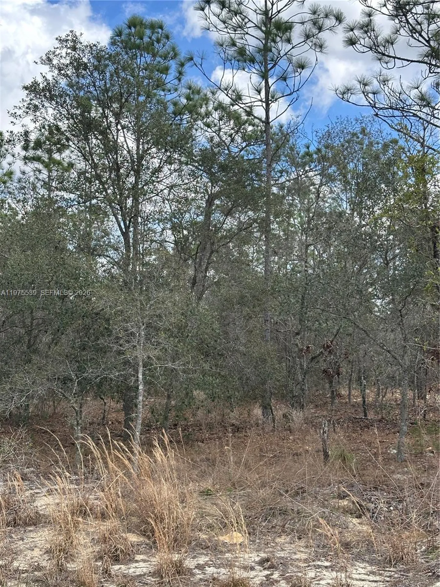Other City - In The State Of Florida FL 34431